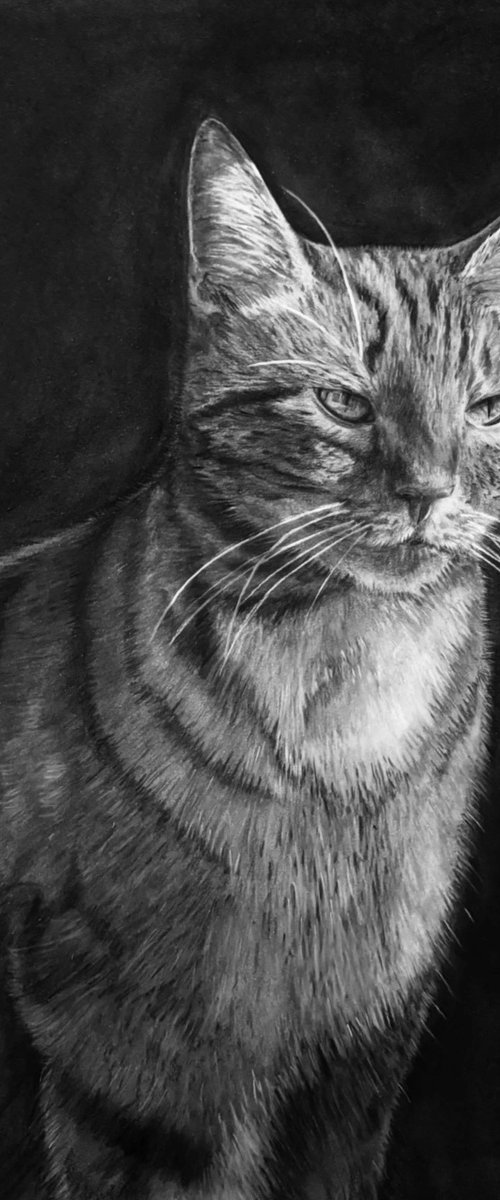 GINGER by Kerry Rixon