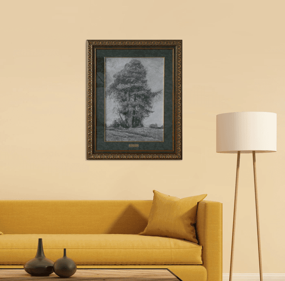 Pine and Spruce