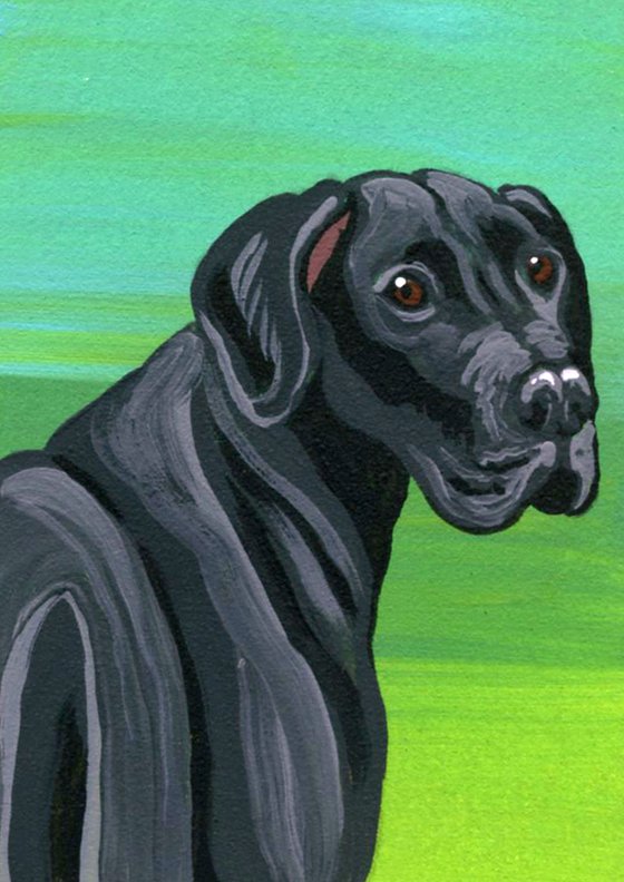 ACEO ATC Original Miniature Painting Black Great Dane Pet Dog Art-Carla Smale