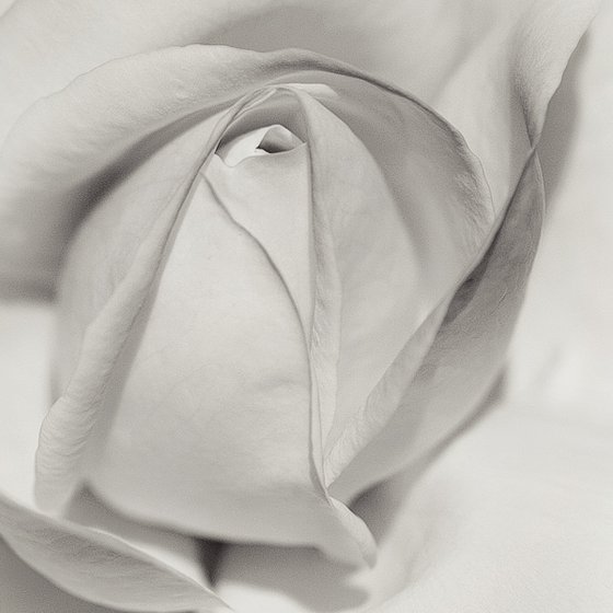 Layers of Beauty - studio edition