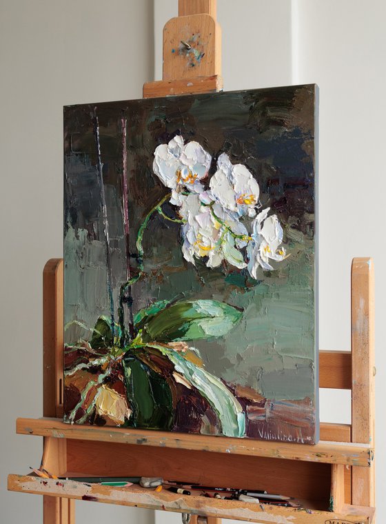 Blooming Orchid