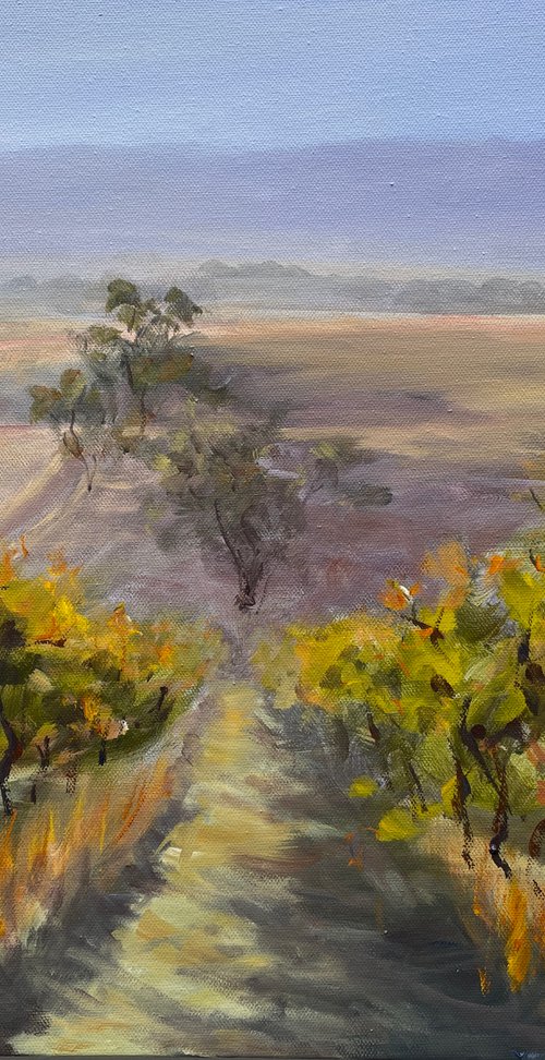 Blue mountains-Megalong valley vineyard by Shelly Du