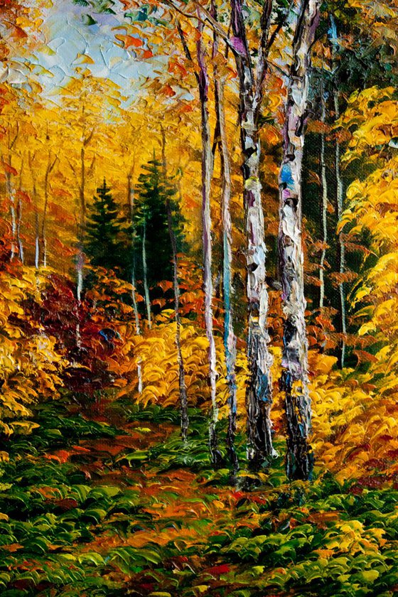 Birches in the autumn forest