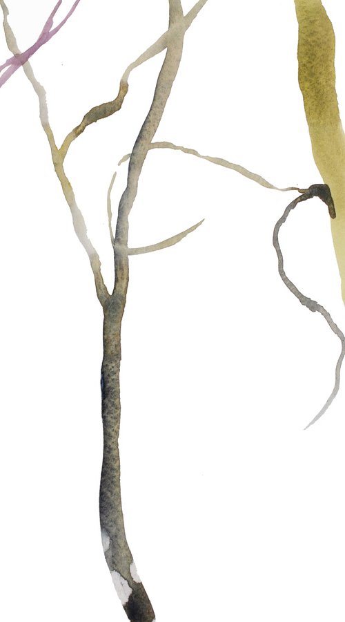 Tree Study No. 37 by Elizabeth Becker