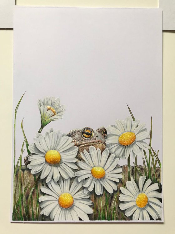 Hiding in plain sight (toad and daisies)
