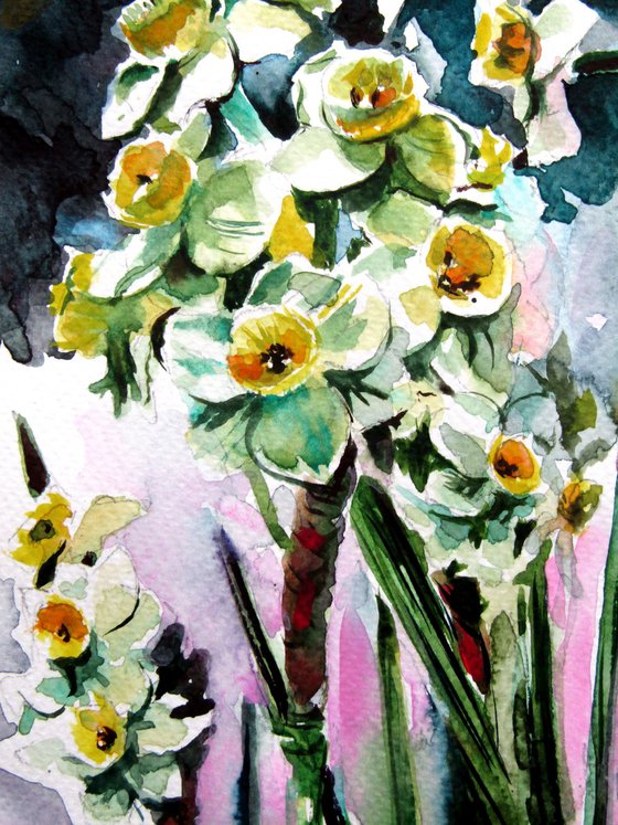 Narcissus florals