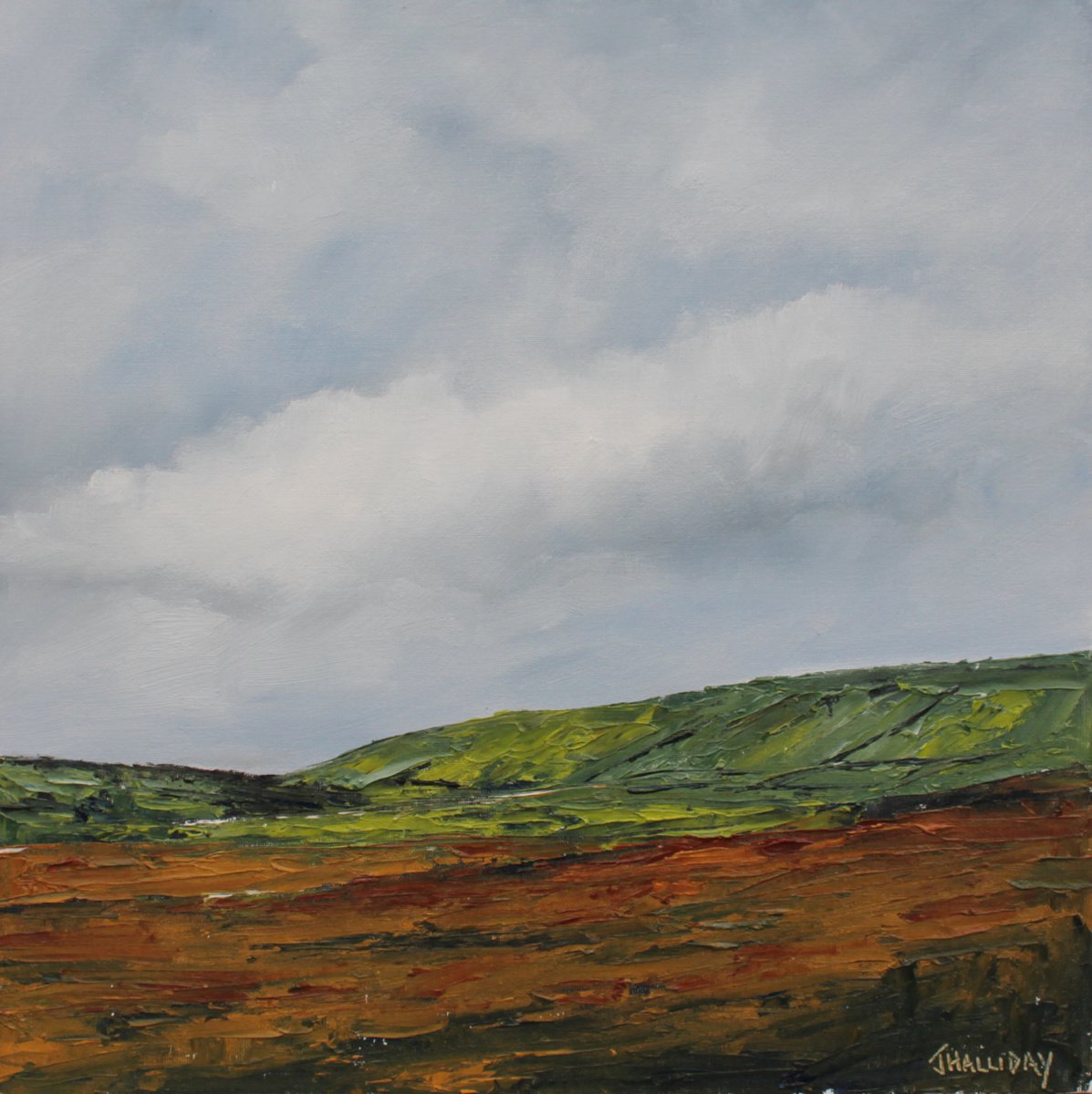 Glens of Antrim, Irish Landscape by John Halliday