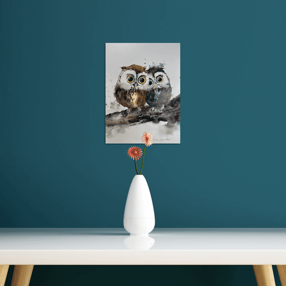 Owl duo on a branch