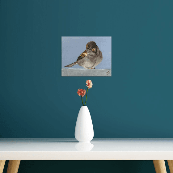 Curious Sparrow
