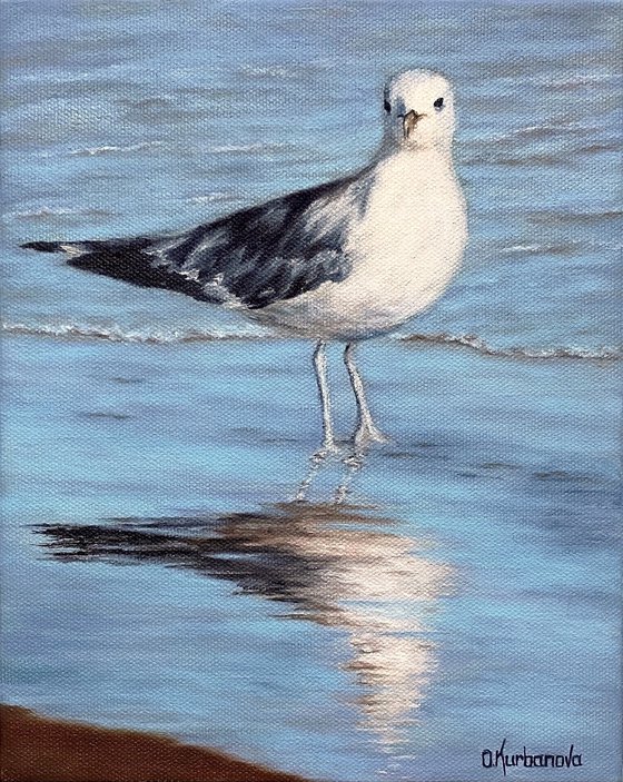 Seagull on the beach