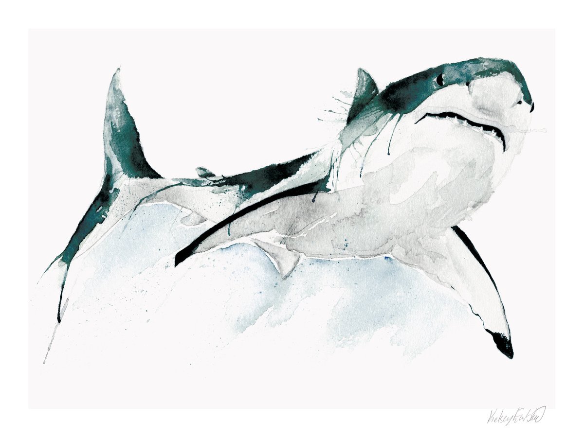 Great White Shark Watercolor Giclee print by Kelsey Emblow