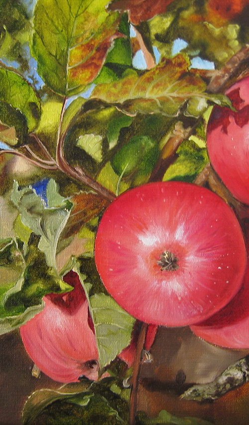 Red Apples by Natalia Shaykina