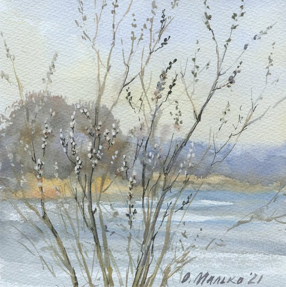 Spring sketch with pussy willow / Original watercolor landscape. Grey blue square picture