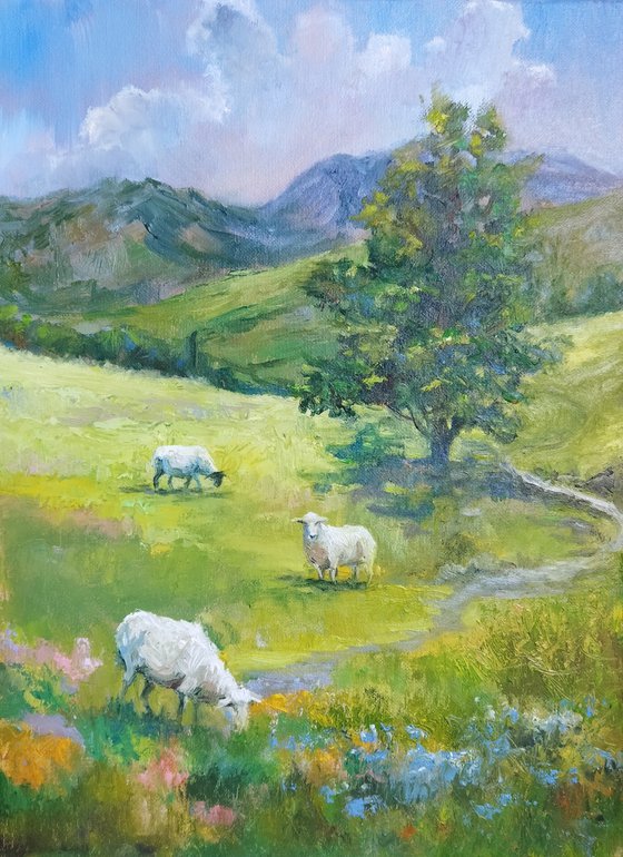 Three sheep