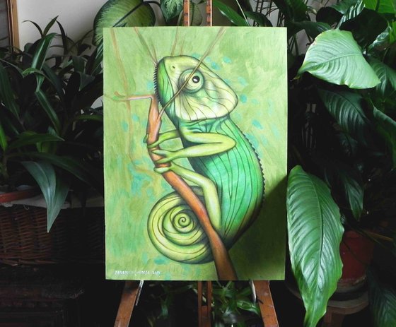 green chameleon