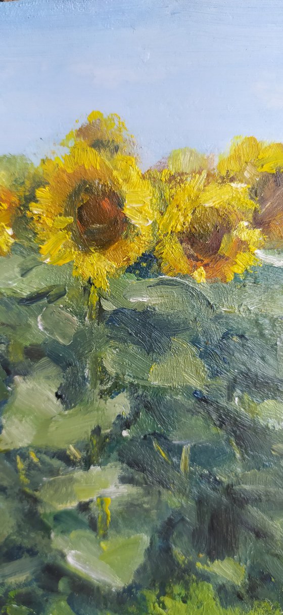 Landscape with sunflowers