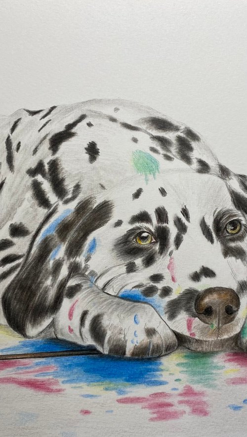 Paint splattered dog (no. 3) by Maxine Taylor