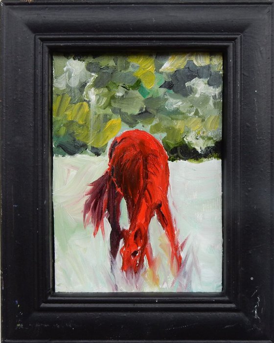 Red horse in a field. small framed painting.