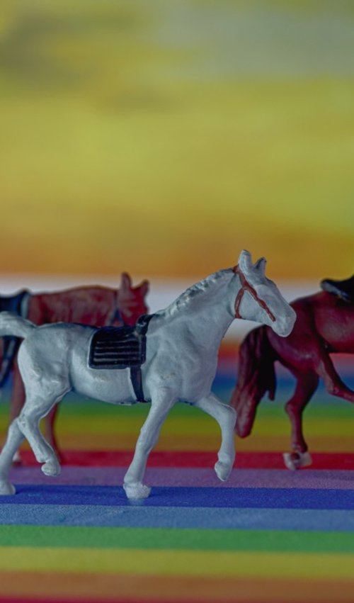 Over the Rainbow Bridge by Marc Ehrenbold