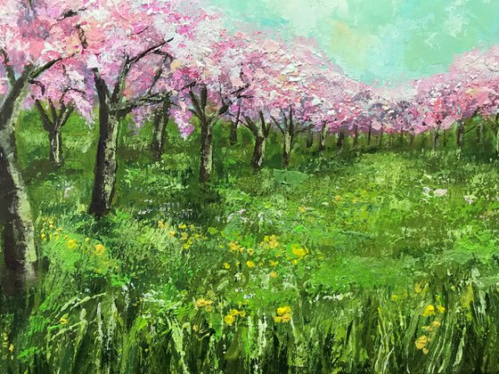 Orchard in Spring