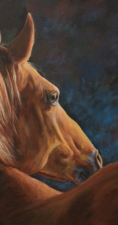 Copper by Ruth  Aslett