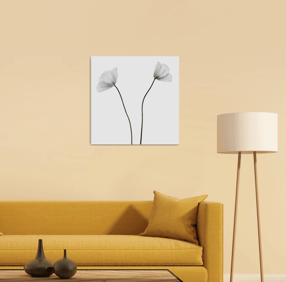Two Poppies