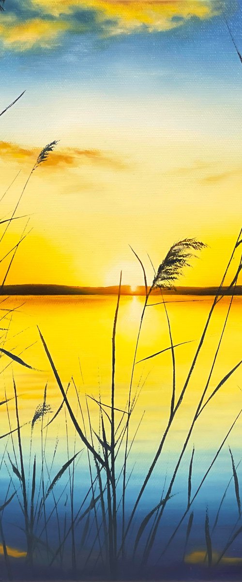 First Light by Alla Kallass