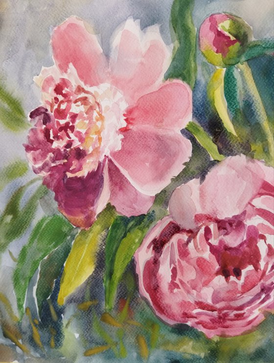 Peony flowers