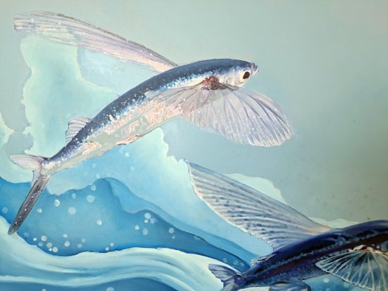 FLYING FISH