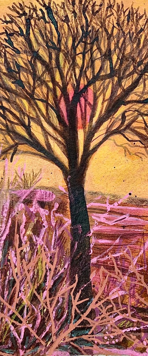 Lone Tree by Janice MacDougall