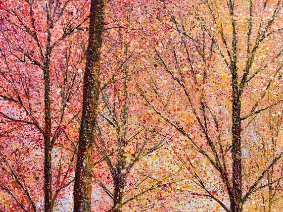 Light through Autumn trees