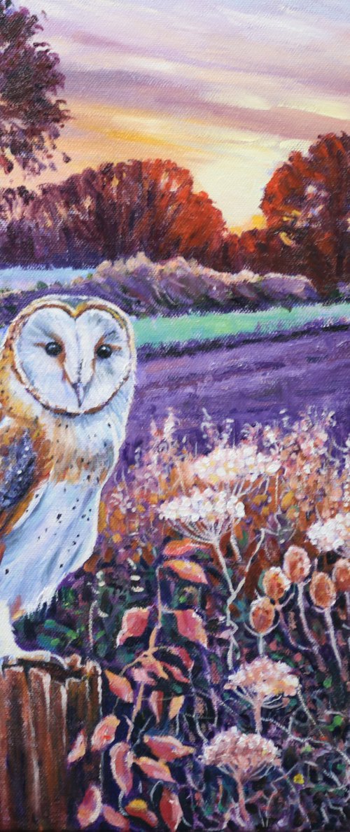 Barn Owl at Dawn by Zoe Elizabeth Norman