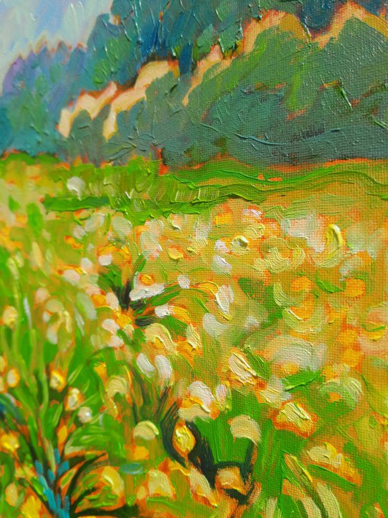 Dandelion Spring Landscape