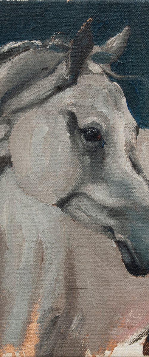 Equine Head Arab White (study 1) by Zil Hoque