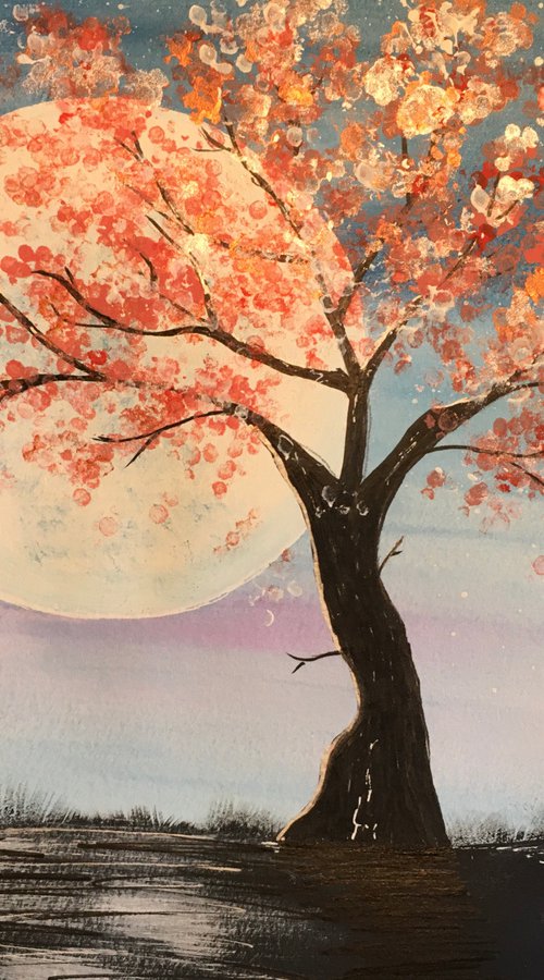 Blossom in moonlight by Ruth Searle
