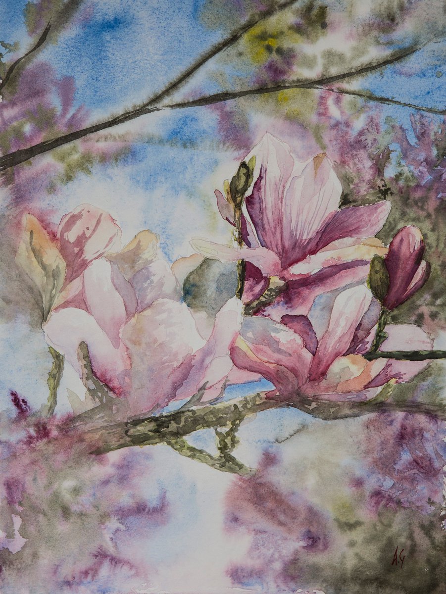 Magnolia Branch by Aneta Gajos