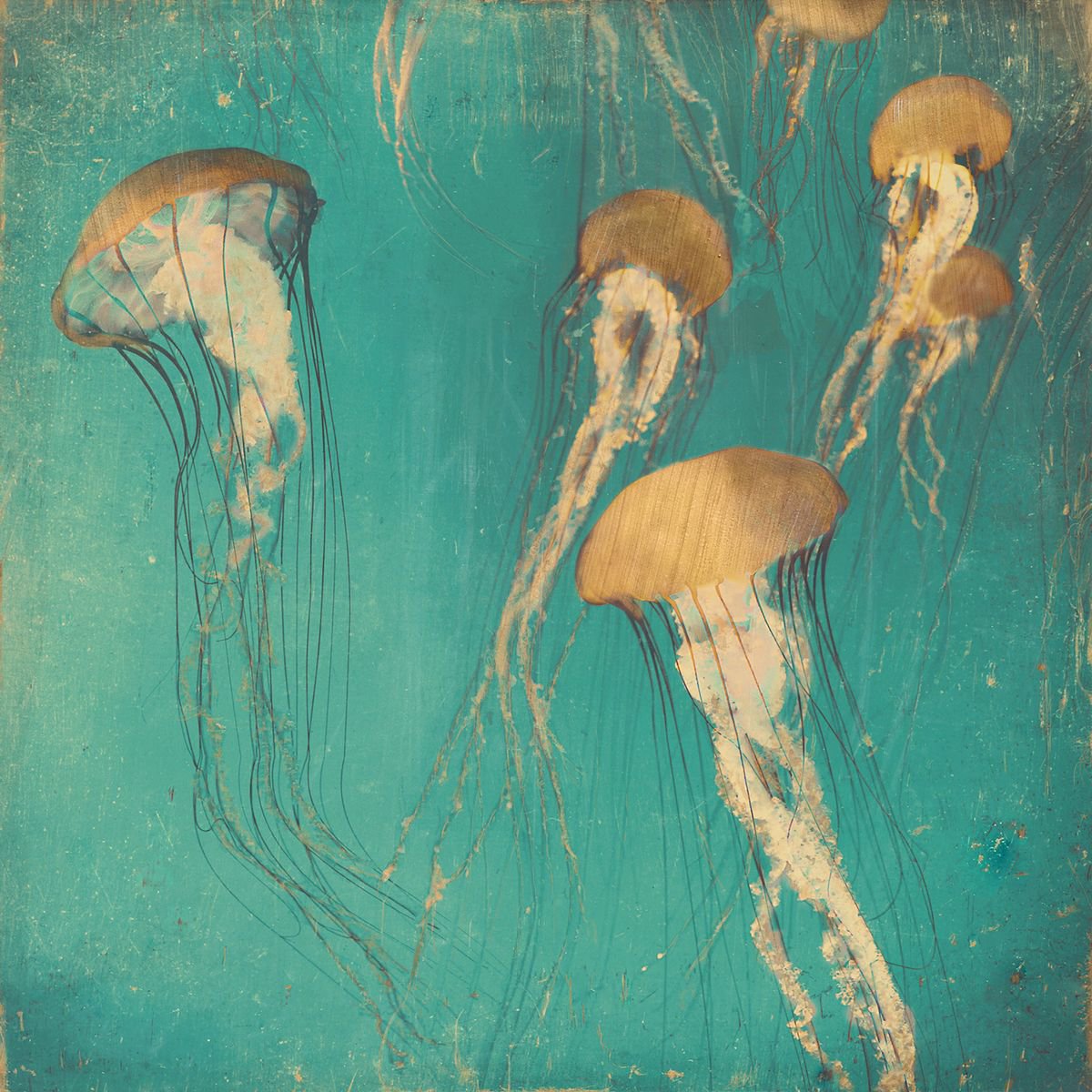 Abstract Landscape Photograph By Nadia Attura, 28 X 28", Monterey Bronze, Original Artwork