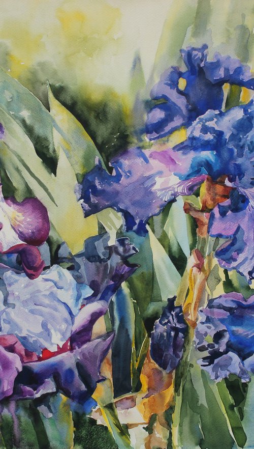 Irises in the garden #2 by Yurii Pashkov