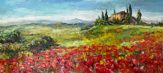 "Poppies of Tuscany.Sunny day."
