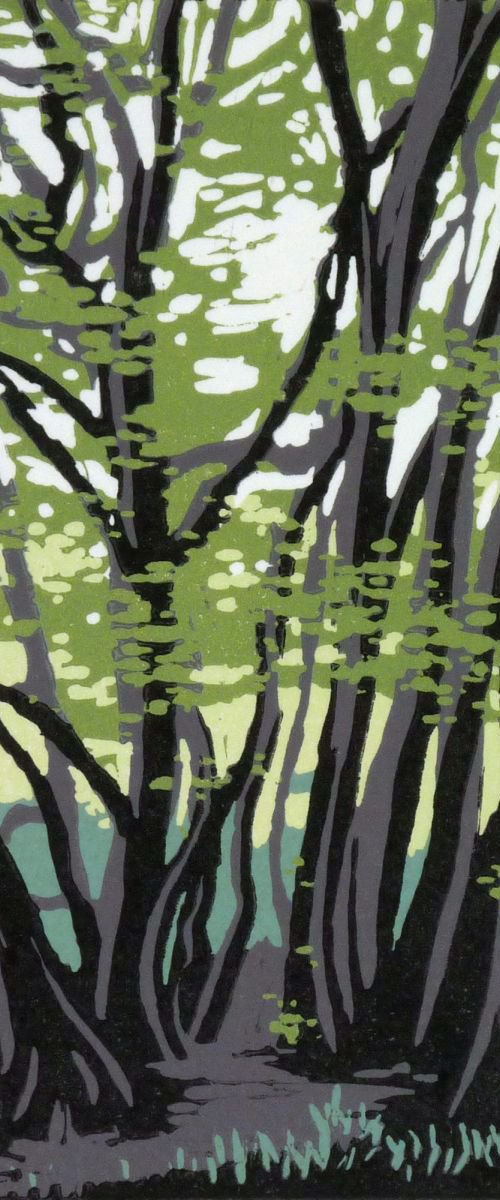 Tree Study by Alexandra Buckle