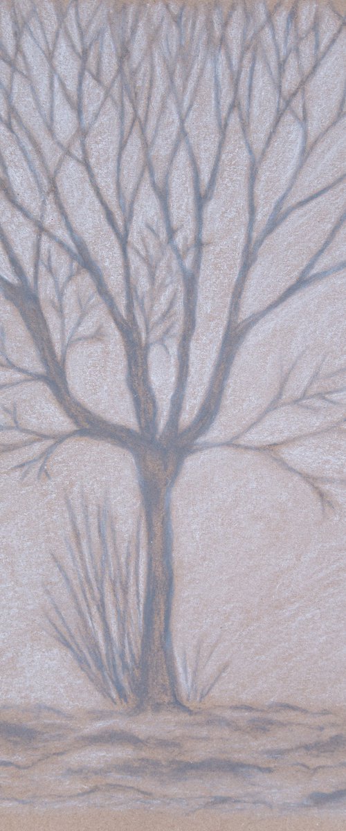 Minimal tree branches by Rimma Savina