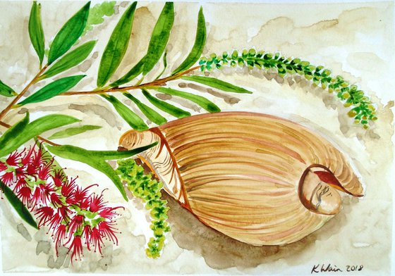Still life with shell and bottle brush flower