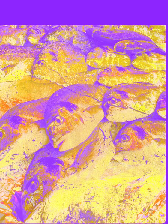 Set of 3. Colorful Fishes