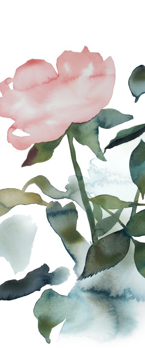 Rose Study No. 89 by Elizabeth Becker