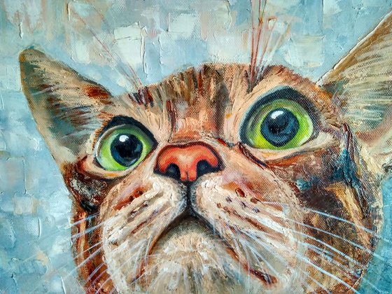 Surprised cat, 40x40 cm, ready to hang.