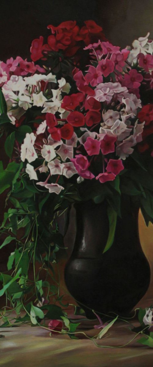 Phlox by Darya Klunnikova