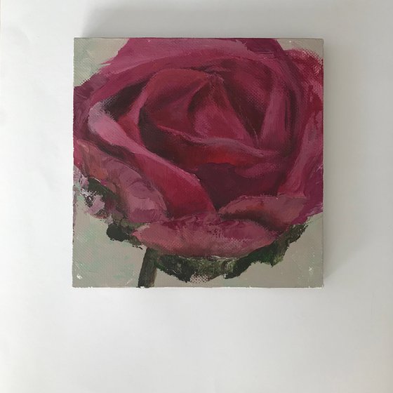 “Rose alone” square original acrylic painting on canvas