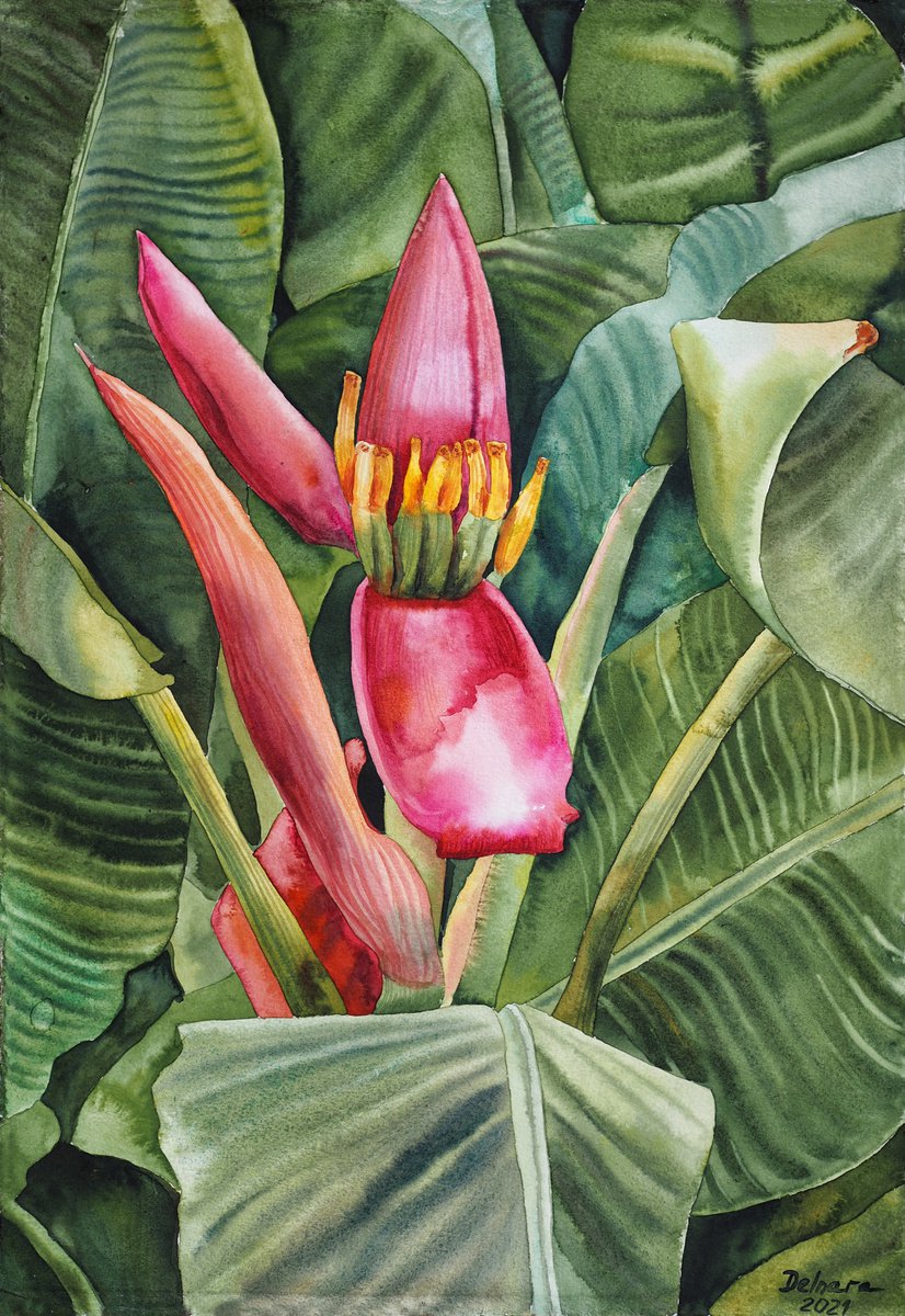 Banana blossom - original tropical green watercolor by Delnara El