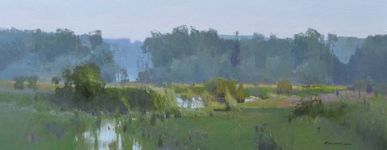 Shallow Stream