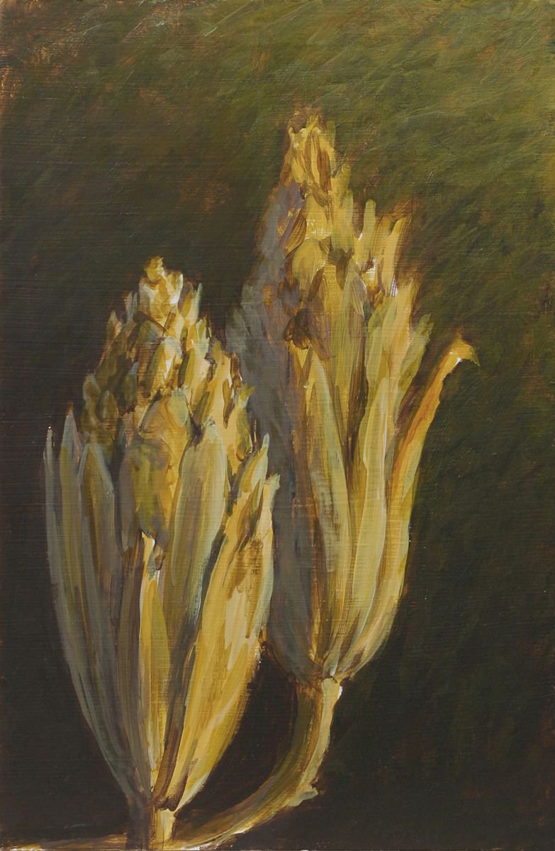 dried plant study by John Fleck